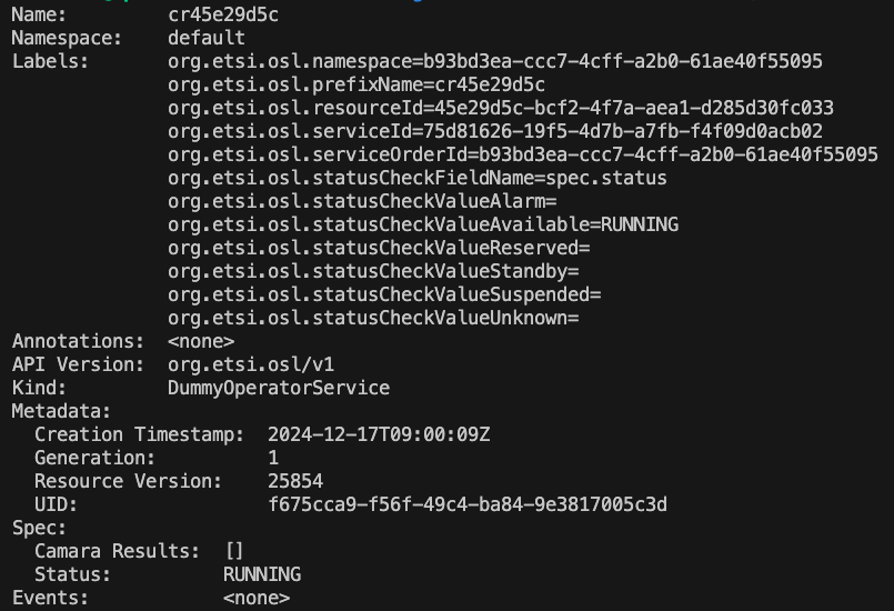 QoDProvisioning/Documentation/Pictures/DummyOperatorService-CustomResource.png